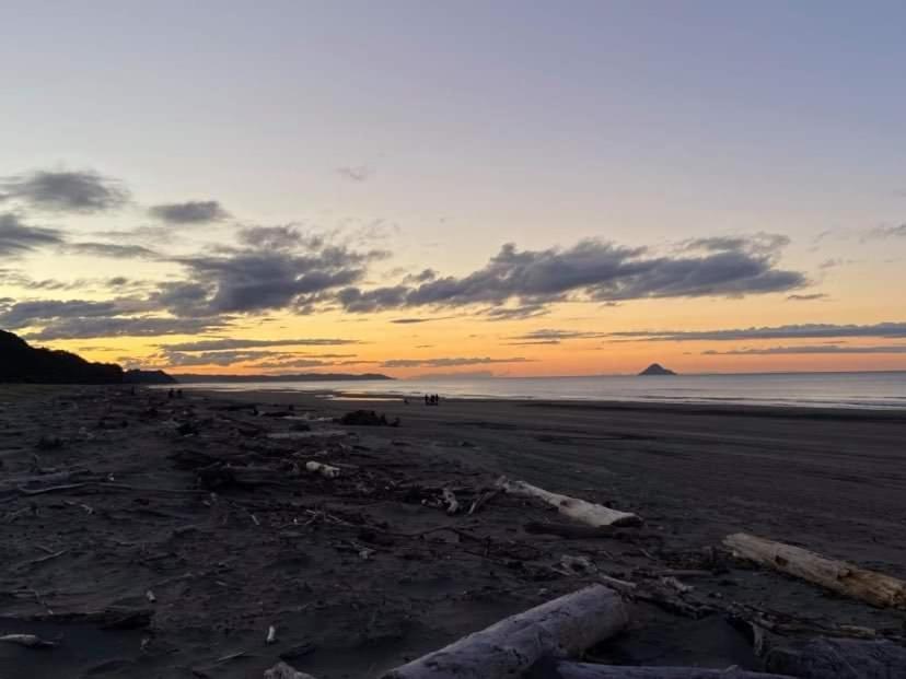 Opotiki - Waiotahe Drifts Beach Pod Extérieur photo