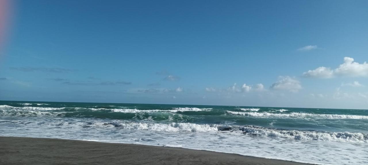 Opotiki - Waiotahe Drifts Beach Pod Extérieur photo